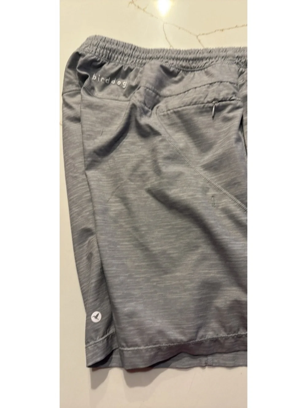 Birddogs atlantic gray